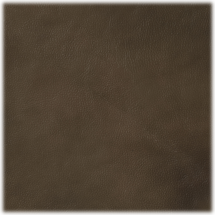 coaster living room leaton swatch image